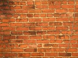 Optimal Health and the Blockade of Behavior